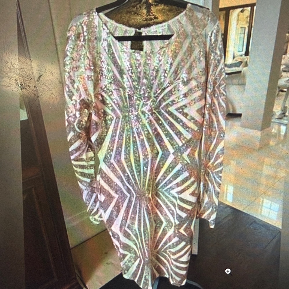 Sequin Long Sleeve dress